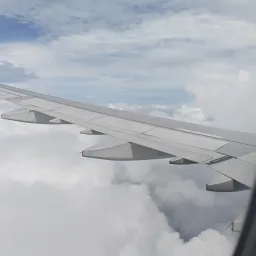 Avatar người đánh giá