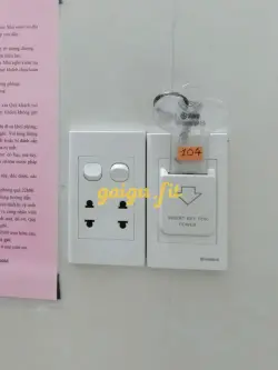 Ảnh đánh giá gái gọi