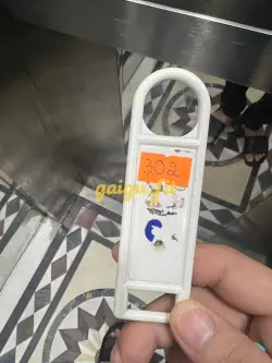 Ảnh đánh giá gái gọi