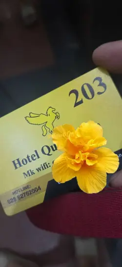 Ảnh đánh giá gái gọi