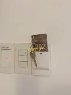 Ảnh đánh giá gái gọi