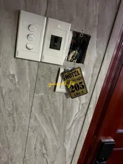 Ảnh đánh giá gái gọi