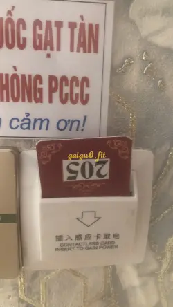 Ảnh đánh giá gái gọi