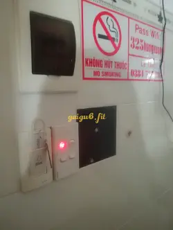 Ảnh đánh giá gái gọi