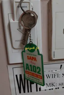 Ảnh đánh giá gái gọi