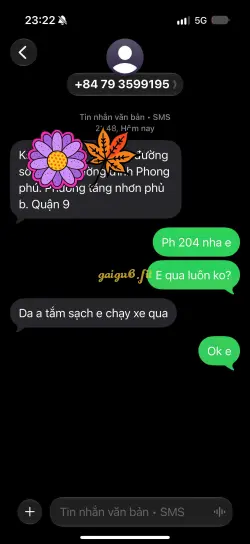 Ảnh đánh giá gái gọi