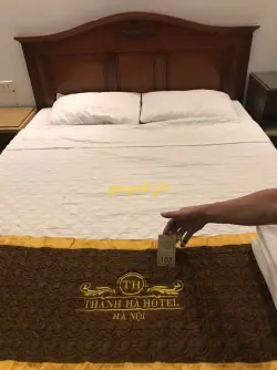 Ảnh đánh giá gái gọi