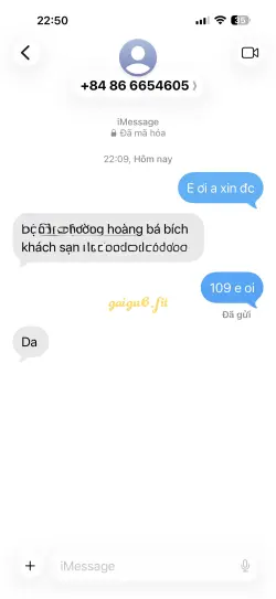 Ảnh đánh giá gái gọi