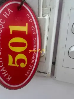 Ảnh đánh giá gái gọi