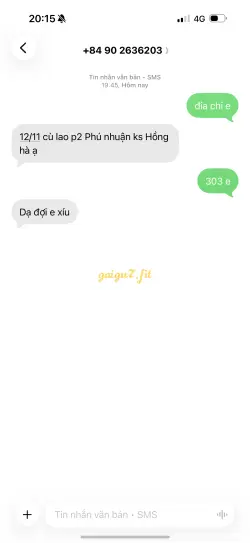Ảnh đánh giá gái gọi