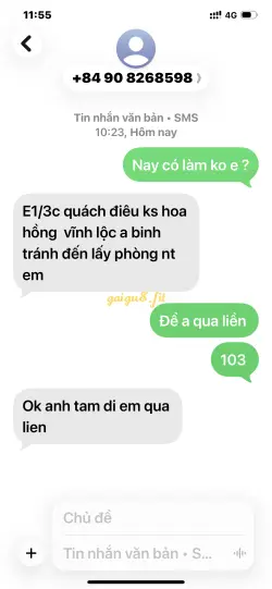 Ảnh đánh giá gái gọi